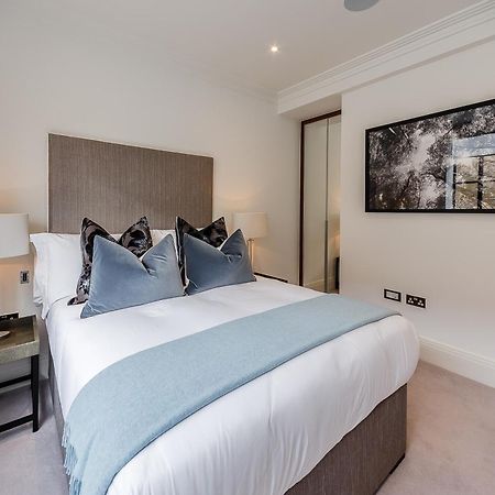 Palace Wharf Apartments Londen Buitenkant foto